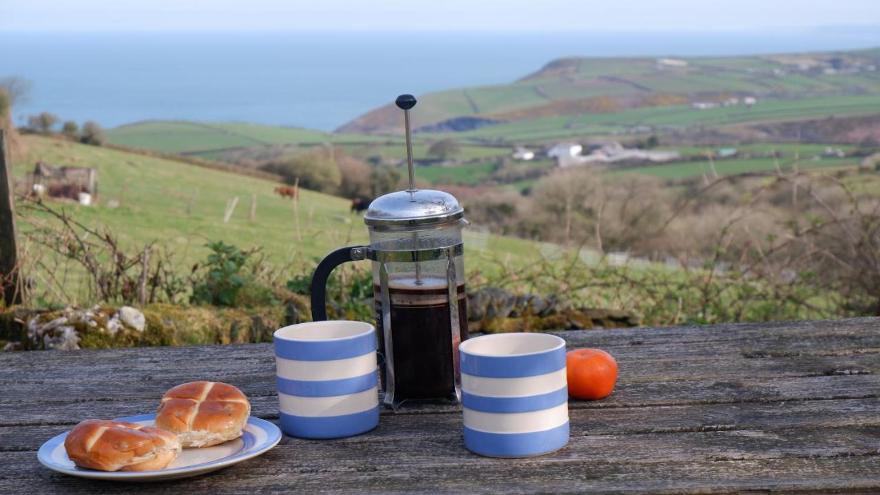 Polrunny Farm Seaberry Cottage With A Sea View And Log Burner Boscastle Dış mekan fotoğraf