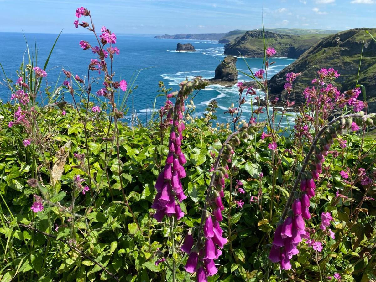 Polrunny Farm Seaberry Cottage With A Sea View And Log Burner Boscastle Dış mekan fotoğraf