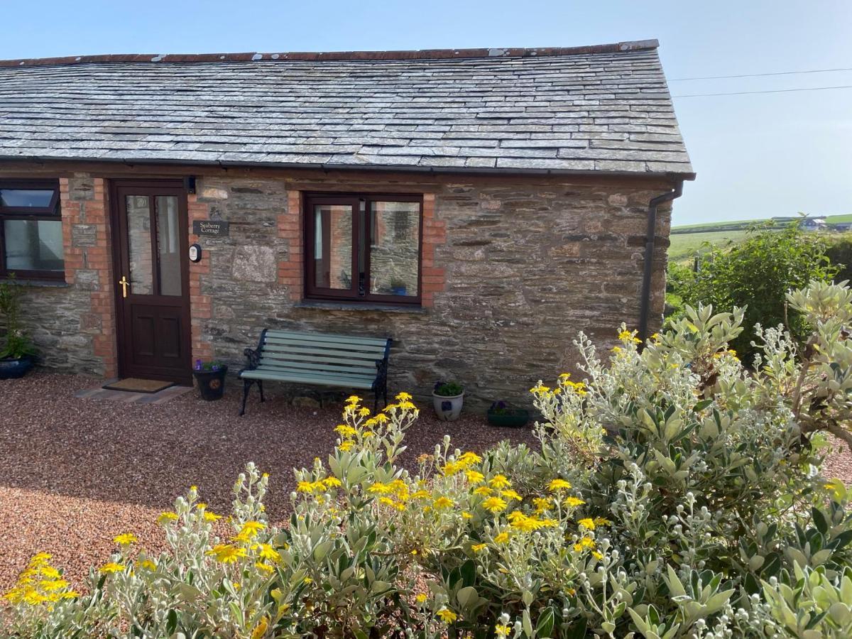 Polrunny Farm Seaberry Cottage With A Sea View And Log Burner Boscastle Dış mekan fotoğraf